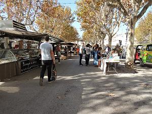 2024 11 02 EN FLANANT SUR SANARY (39)